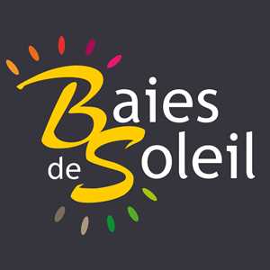 BAIES DE SOLEIL, un réparateur de porte à Tassin-la-Demi-Lune